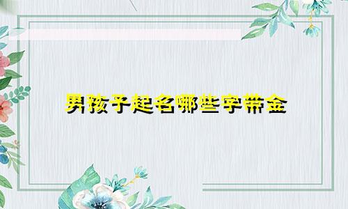 男孩子起名哪些字带金