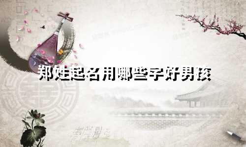 郑姓起名用哪些字好男孩