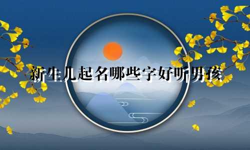 新生儿起名哪些字好听男孩