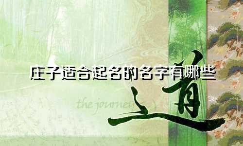 庄子适合起名的名字有哪些