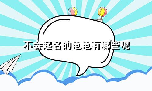 不会起名的龟龟有哪些呢