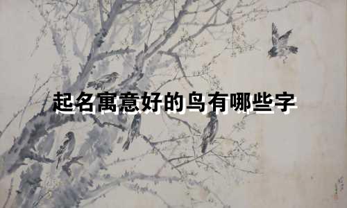 起名寓意好的鸟有哪些字