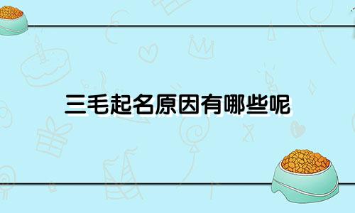 三毛起名原因有哪些呢