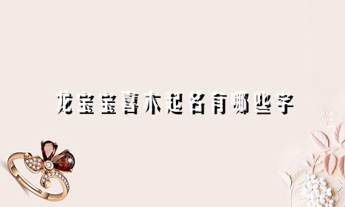 龙宝宝喜木起名有哪些字