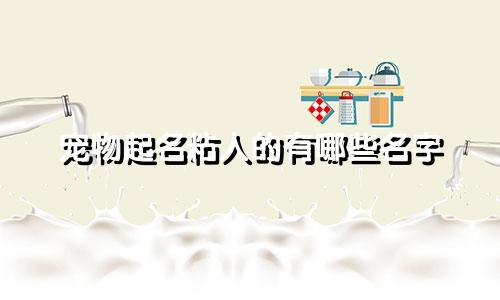 宠物起名粘人的有哪些名字