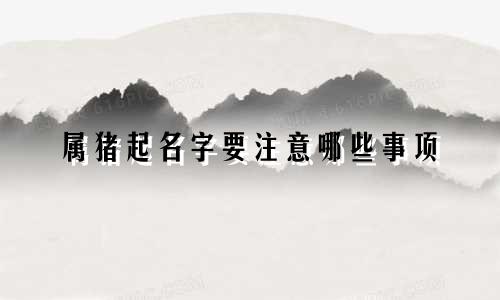 属猪起名字要注意哪些事项