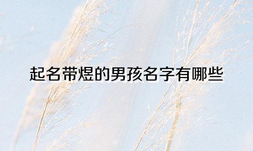 起名带煜的男孩名字有哪些