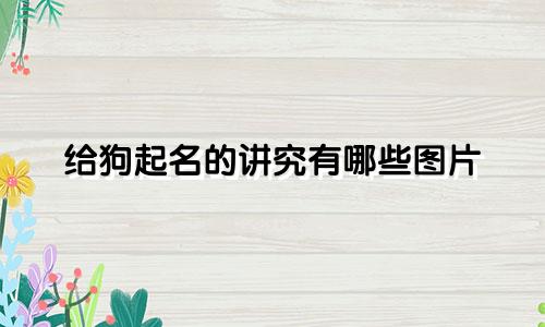 给狗起名的讲究有哪些图片