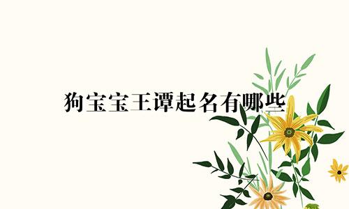 狗宝宝王谭起名有哪些