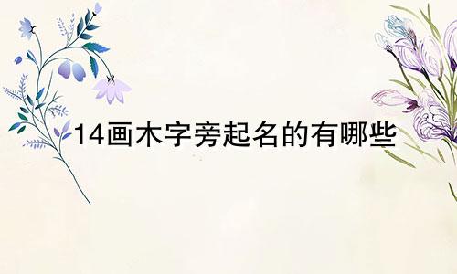 14画木字旁起名的有哪些