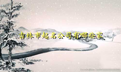 吉林市起名公司有哪些家