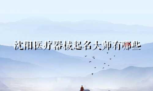 沈阳医疗器械起名大师有哪些