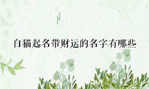 白猫起名带财运的名字有哪些