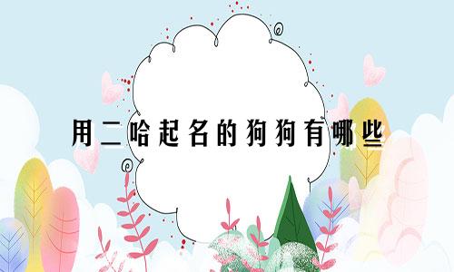 用二哈起名的狗狗有哪些