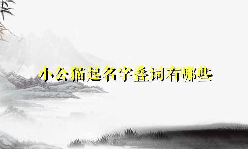 小公猫起名字叠词有哪些