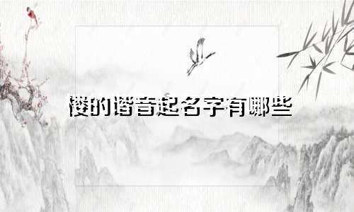 楼的谐音起名字有哪些