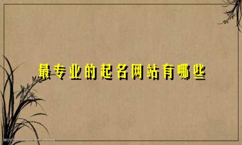 最专业的起名网站有哪些