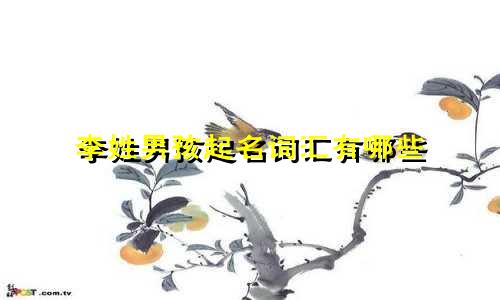 李姓男孩起名词汇有哪些