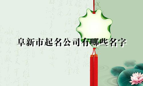 阜新市起名公司有哪些名字
