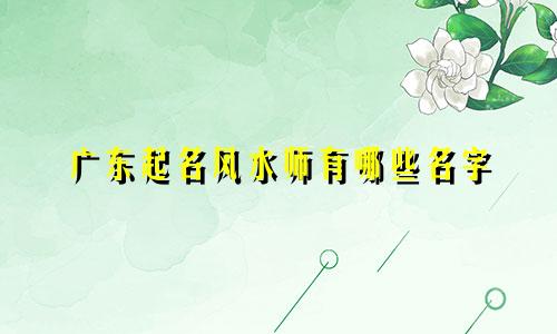 广东起名风水师有哪些名字