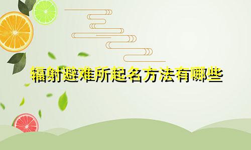 辐射避难所起名方法有哪些