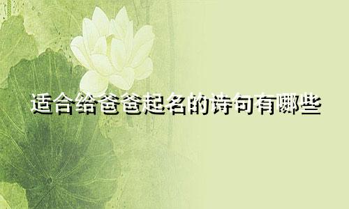 适合给爸爸起名的诗句有哪些