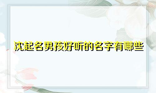 沈起名男孩好听的名字有哪些