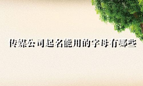 传媒公司起名能用的字母有哪些