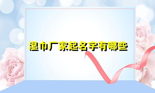 湿巾厂家起名字有哪些