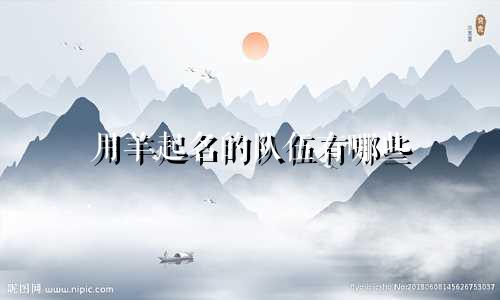 用羊起名的队伍有哪些