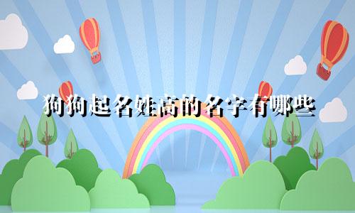狗狗起名姓高的名字有哪些