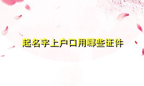 起名字上户口用哪些证件