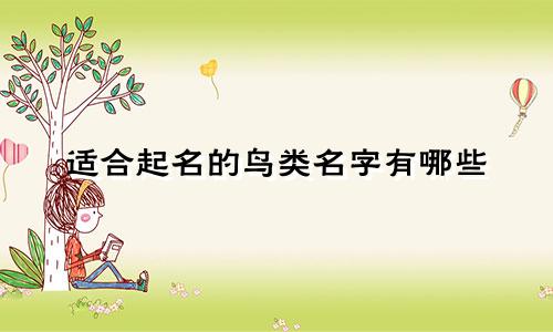 适合起名的鸟类名字有哪些