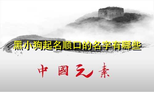 黑小狗起名顺口的名字有哪些