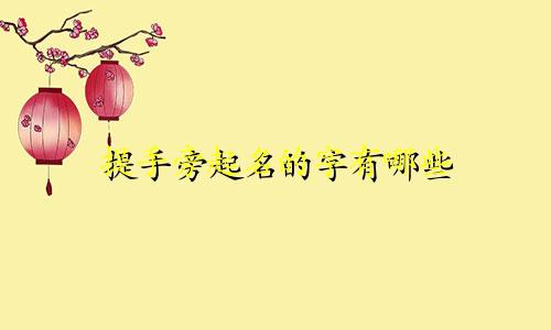 提手旁起名的字有哪些