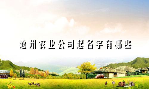 沧州农业公司起名字有哪些