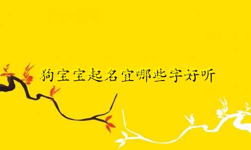 狗宝宝起名宜哪些字好听