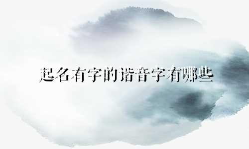 起名有字的谐音字有哪些
