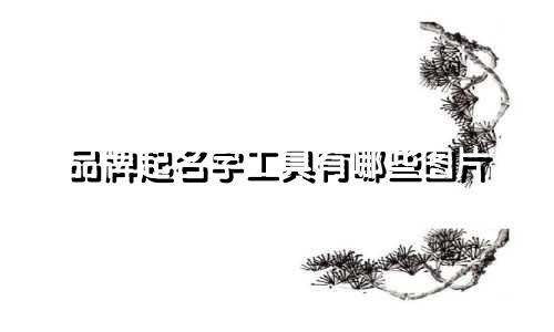 品牌起名字工具有哪些图片