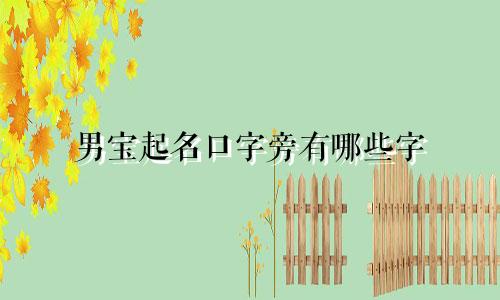 男宝起名口字旁有哪些字