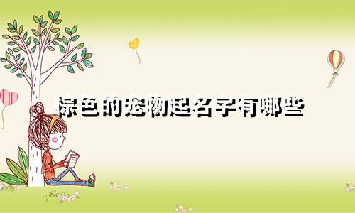 棕色的宠物起名字有哪些