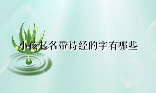 小孩起名带诗经的字有哪些