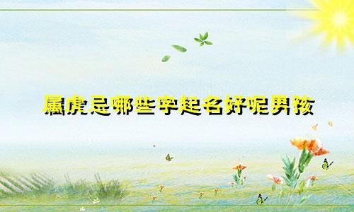 属虎忌哪些字起名好呢男孩