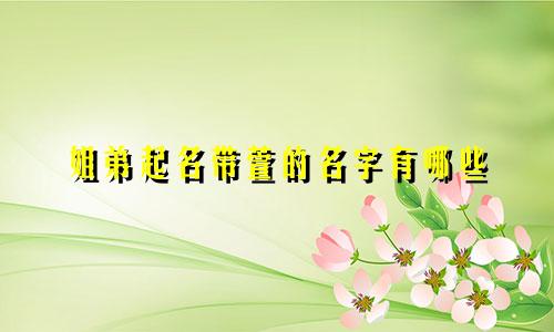 姐弟起名带萱的名字有哪些