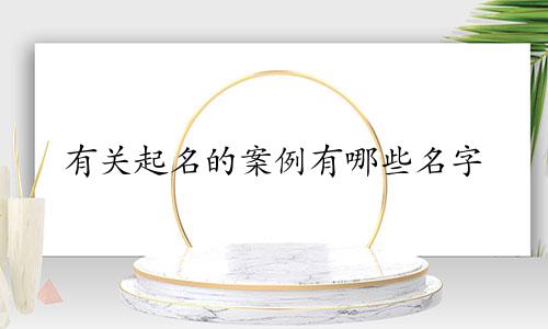 有关起名的案例有哪些名字