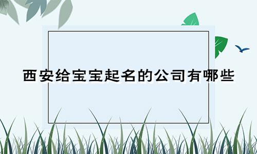 西安给宝宝起名的公司有哪些