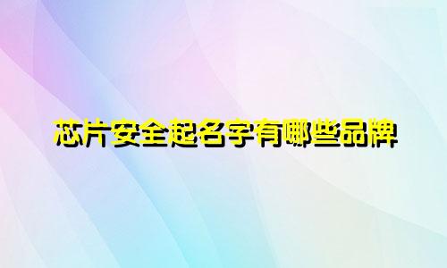芯片安全起名字有哪些品牌