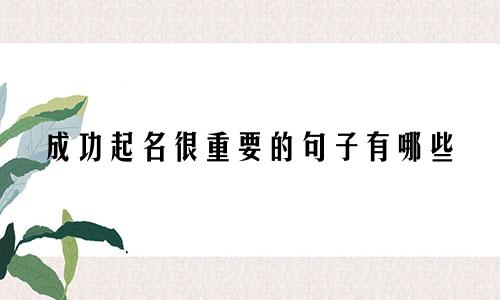 成功起名很重要的句子有哪些