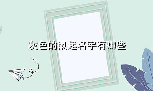 灰色的鼠起名字有哪些