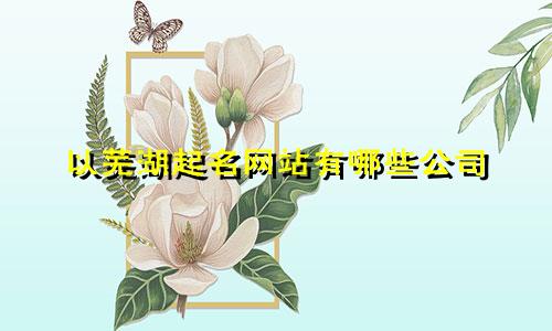 以芜湖起名网站有哪些公司